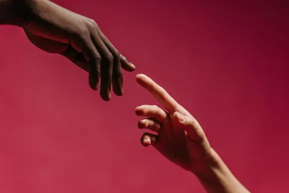 بيلا كازينو الدعم